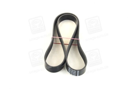 Фото 4 - Ремень приводной DAYCO 7PK1290