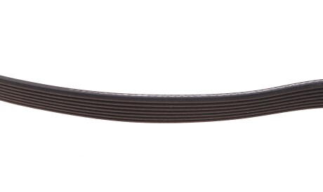 Фото 3 - Ремень приводной DAYCO 7PK1338