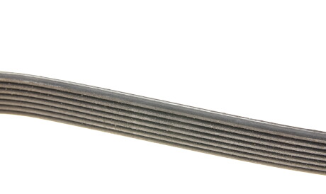 Фото 3 - Ремінь приводний DAYCO 7PK1605