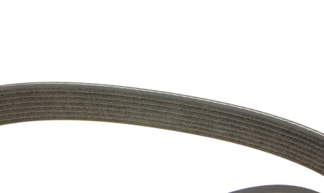 Фото 3 - Ремень приводной DAYCO 7PK1673S