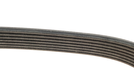 Фото 3 - Ремень приводной DAYCO 7PK1687S