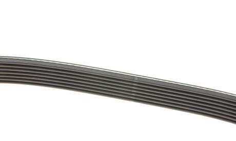 Фото 3 - Ремень приводной DAYCO 7PK1759