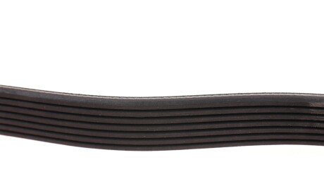 Фото 2 - Ремінь приводний DAYCO 7PK1809