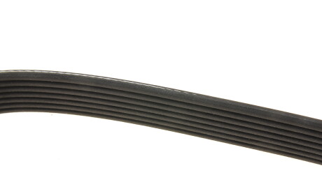 Фото 3 - Ремень приводной DAYCO 7PK1835