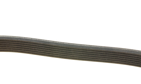 Фото 3 - Ремінь приводний DAYCO 7PK1905