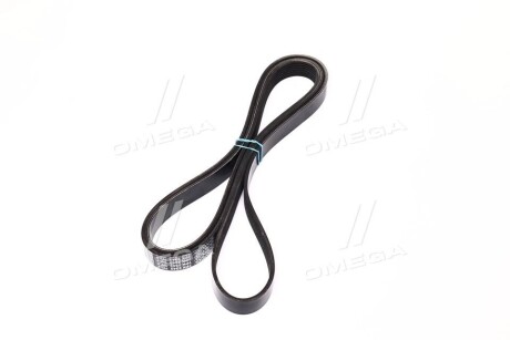 Фото 4 - Ремень приводной DAYCO 7PK2342