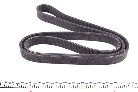 Фото 2 - Ремінь приводний DAYCO 8DPK1833