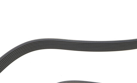 Фото 3 - Автозапчасть DAYCO 8PK1162H