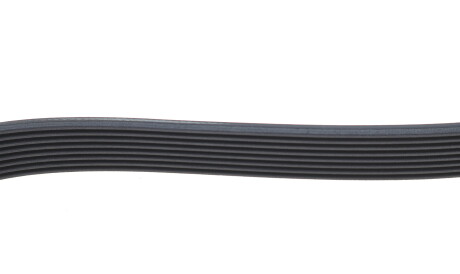 Фото 3 - Ремень приводной DAYCO 8PK1226