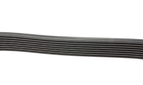 Фото 2 - Ремінь приводний DAYCO 8PK1230