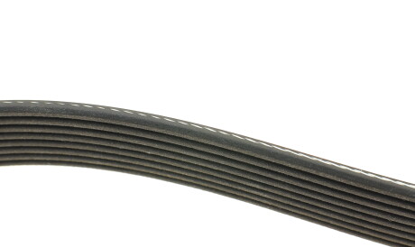 Фото 2 - Ремень приводной DAYCO 8PK1295