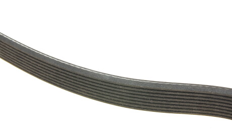 Фото 3 - Ремінь приводний DAYCO 8PK1300HD