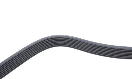 Фото 3 - Ремень приводной DAYCO 8PK1795HD