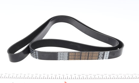 Фото 3 - Ремень приводной DAYCO 8PK1920HD