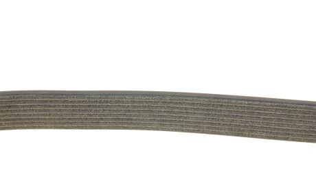 Фото 3 - Ремень приводной DAYCO 8PK2190