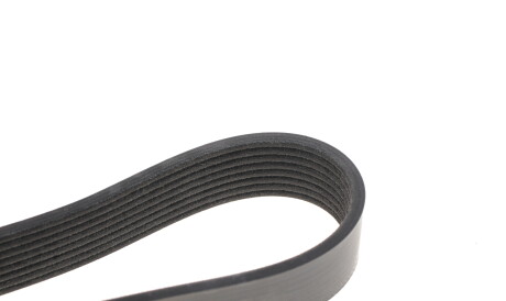 Фото 3 - Ремень приводной DAYCO 8PK2482HD