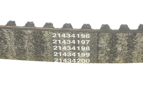 Фото 3 - Ремень ГРМ DAYCO 941019