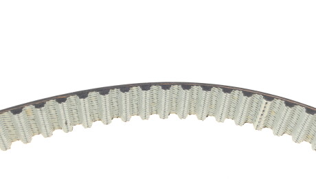 Фото 3 - Ремень ГРМ DAYCO 941040