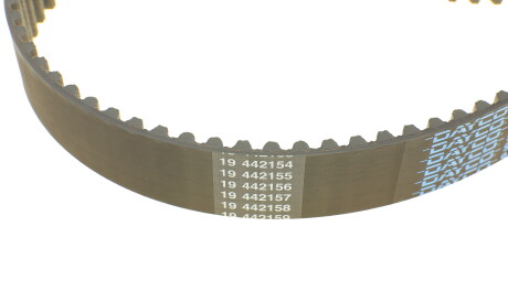 Фото 3 - Ремень ГРМ DAYCO 941047