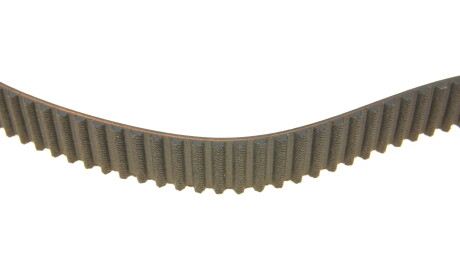 Фото 3 - Ремень ГРМ DAYCO 94764