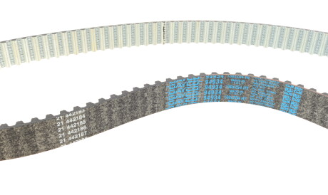 Фото 2 - Ремень ГРМ DAYCO 94934