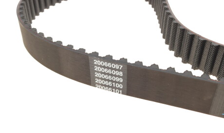 Фото 2 - Ремень ГРМ DAYCO 94959