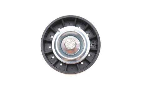 Фото 2 - Ролик ременя приводного DAYCO APV1013