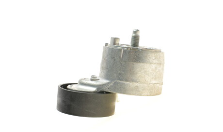 Фото 3 - Ролик ременя приводного DAYCO APV1078