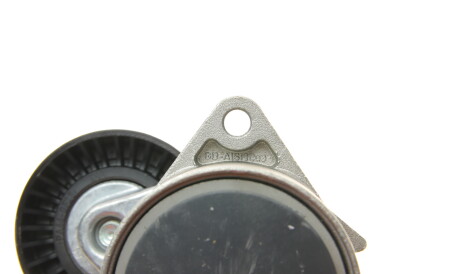 Фото 2 - Ролик ремня приводного DAYCO APV2232