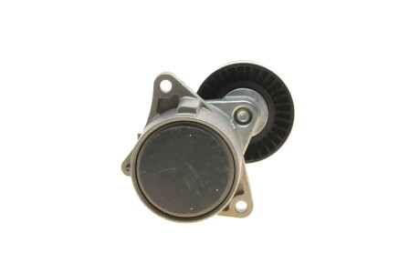 Фото 6 - Ролик ремня приводного DAYCO APV2232