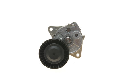 Фото 8 - Ролик ремня приводного DAYCO APV2232