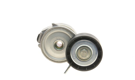 Фото 3 - Ролик ременя приводного DAYCO APV2464