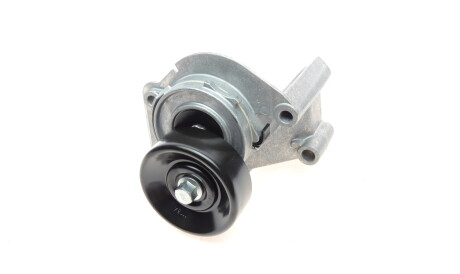 Фото 3 - Ролик ременя приводного DAYCO APV2483