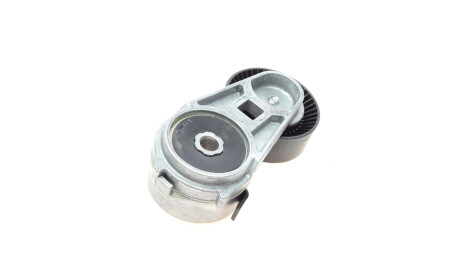 Фото 4 - Ролик ременя приводного DAYCO APV2671