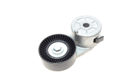 Фото 6 - Ролик ременя приводного DAYCO APV2671