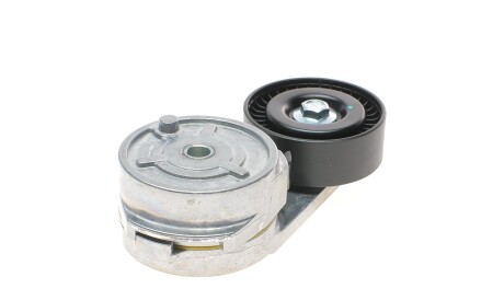 Фото 2 - Ролик ременя приводного DAYCO APV2959