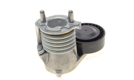 Фото 3 - Ролик ремня приводного DAYCO APV3019