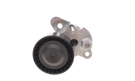 Фото 4 - Ролик ременя приводного DAYCO APV3270