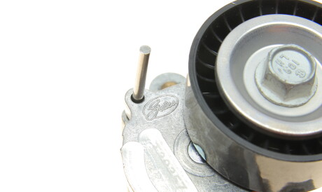 Фото 2 - Ролик ременя приводного DAYCO APV3800