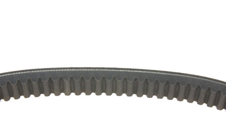 Фото 2 - Автозапчастина DAYCO HP2019