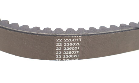 Фото 3 - Автозапчасть DAYCO HP2021