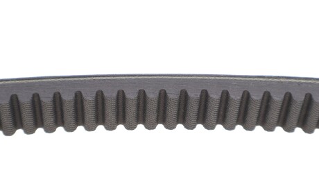 Фото 4 - Автозапчасть DAYCO HP2021