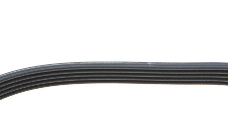 Фото 3 - Шкив генератора DAYCO KPV964