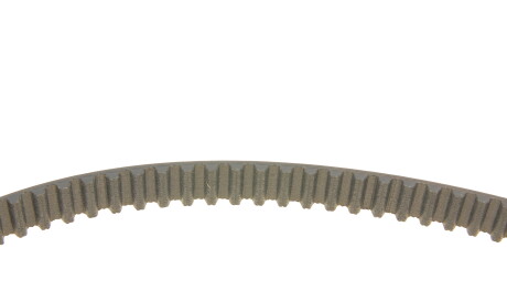 Фото 3 - Комплект ременя ГРМ DAYCO KTB251