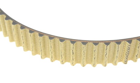 Фото 3 - Комплект ременя ГРМ DAYCO KTBWP2964