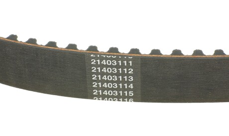 Фото 3 - Комплект ременя ГРМ DAYCO KTBWP3390