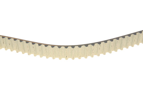 Фото 3 - Комплект ременя ГРМ DAYCO KTBWP5171