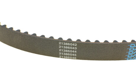 Фото 3 - Комплект ременя ГРМ DAYCO KTBWP8841