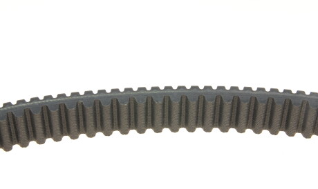 Фото 3 - Автозапчасть DAYCO XTX2233