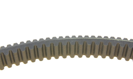 Фото 3 - Автозапчастина DAYCO XTX2236